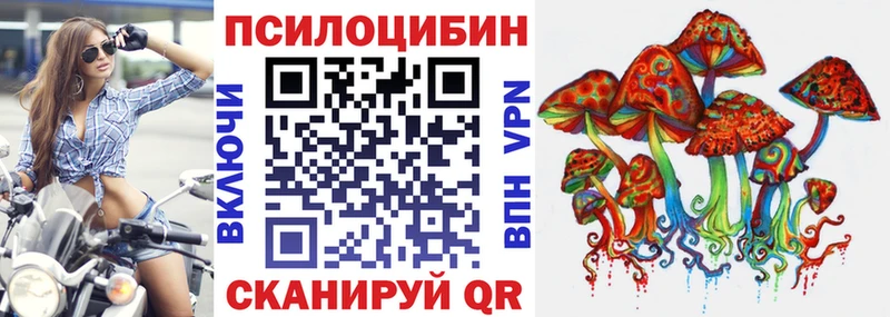 hydra как зайти  Богородицк  Псилоцибиновые грибы Psilocybe 